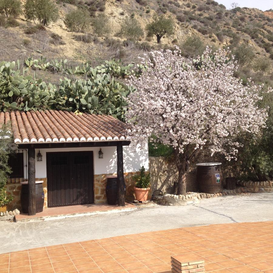 Cortijo Pilongo Apartment Monachil Exterior photo